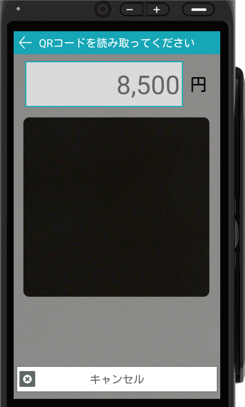 paygate-pos-credit-01.png